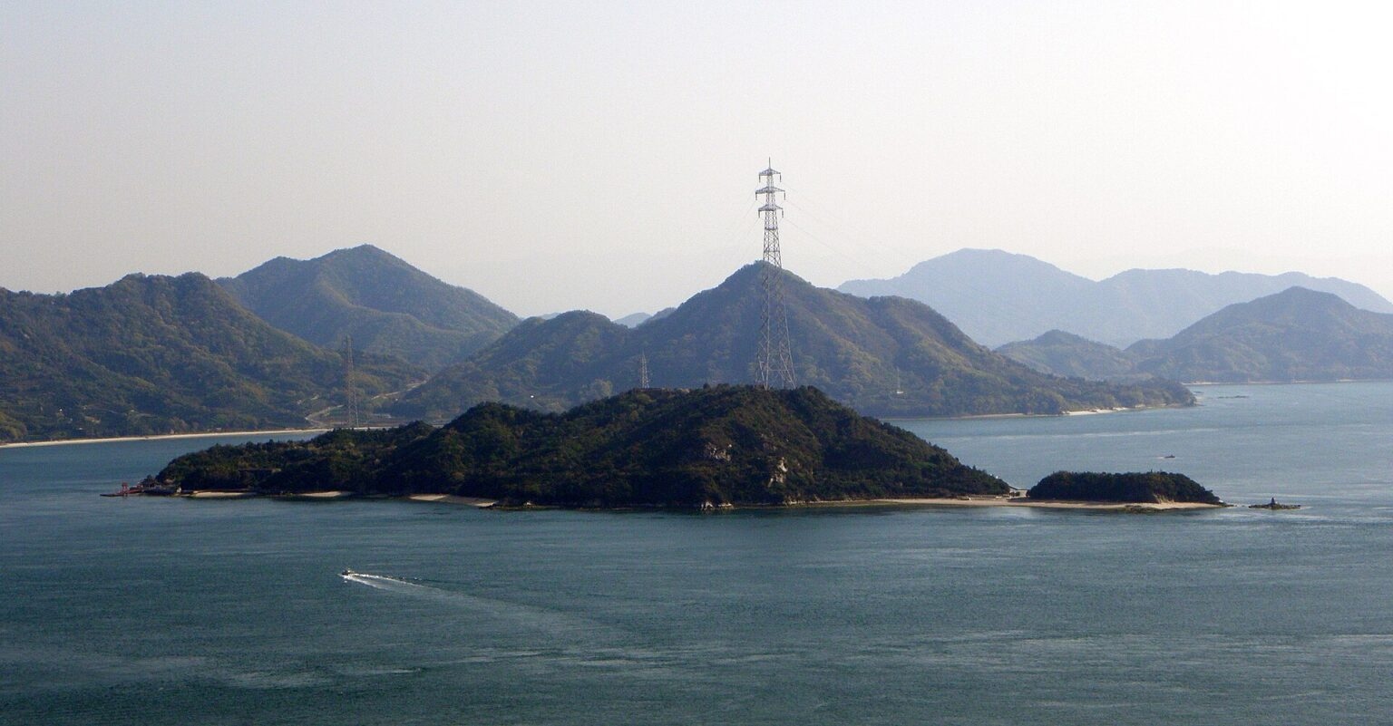 Khám Phá Biểu Tình Đặc Biệt Của Lợn Rừng Trên Đảo Thỏ Okunoshima